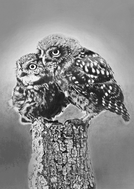 �t�N���E�v�w�̉��M��