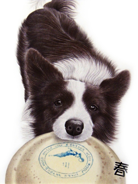 大人気 枝川真理のペットの絵 愛がいっぱいの犬の絵 猫の絵 肖像画ギャラリー１