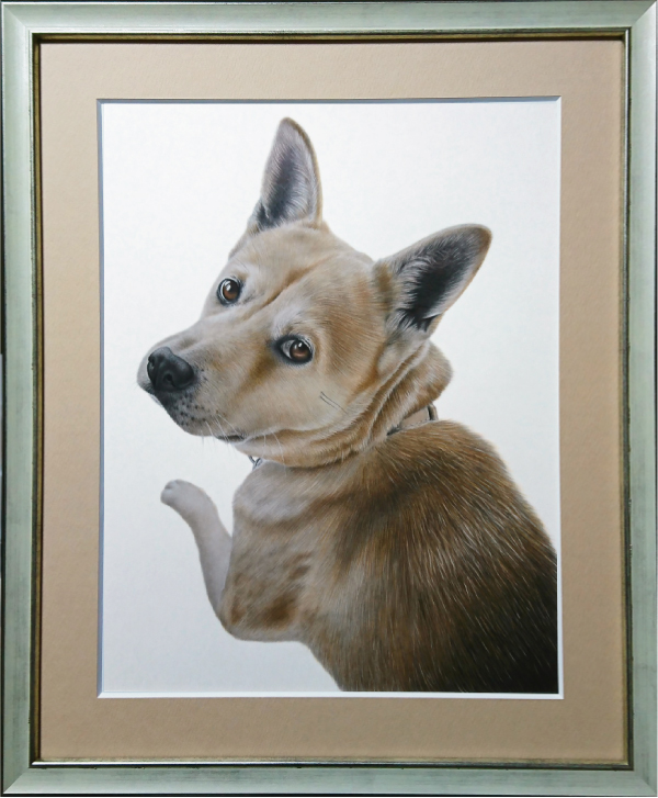 愛犬を枝川真理がリアルに写真のようにお描きいたします。
