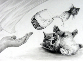鉛筆画受講生の作品猫と金魚