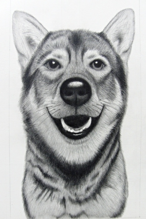 ���̉��M��Ƀ`�������W