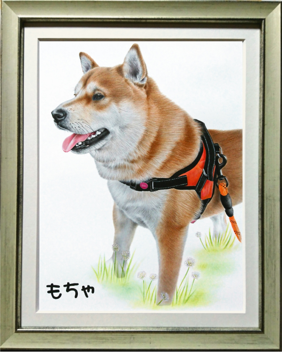 柴犬リアル絵、肖像画